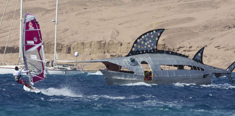 Not Donegal - but a shark for Wookie